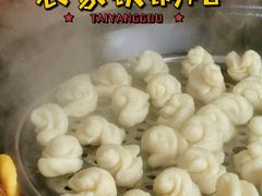 -农家铁锅炖(太阳沟店)