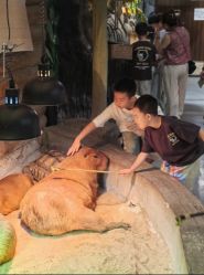 -Zoolung Zoolung动物主题公园(海信广场店)