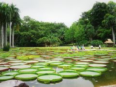 -中国科学院西双版纳热带植物园