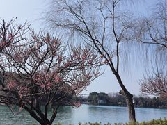 -尚湖风景区
