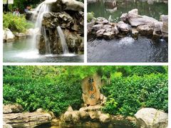 -趵突泉景区