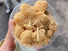-黔灵山公园
