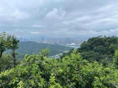 -岳麓山风景名胜区