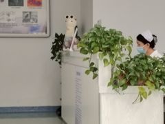 -北京市垂杨柳医院