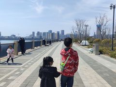 -星光岛