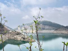 -长沙黑麋峰国家森林公园