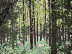 -河南省黄河迎宾馆