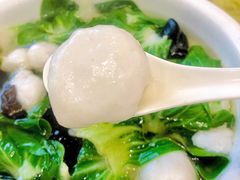 木耳鱼元汤-清真·安乐园菜馆(茶南店)