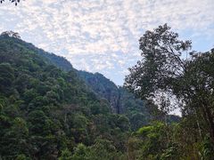 -姑婆山旅游区