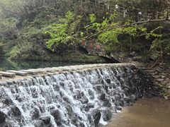 -石台牯牛降景区