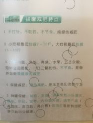 -寇氏拔罐减肥