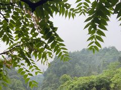 -石台牯牛降景区
