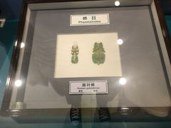 -上海昆虫博物馆