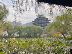 -长兴太湖图影湿地文化园