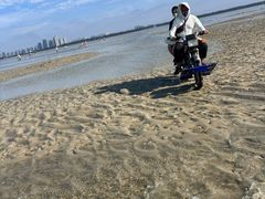 -红树林天天赶海