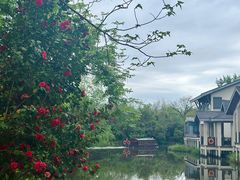 -新荣记(西溪湿地店)