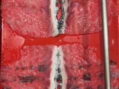 -纯味斑鱼府(中海环宇荟店)