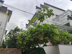 -西溪南古村落