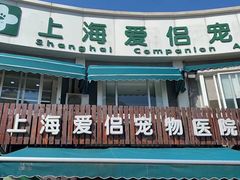 -爱侣宠医·鹦鹉专科·小型哺乳类·异宠专科(灵石路店)