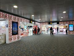 -日上免税行(浦东机场五店)