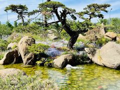 -罗红摄影艺术馆