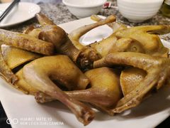 -百利鸽王(紫薇路店)