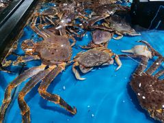 -盒马鲜生(曜一城店)