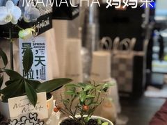 -MĀMĀCHÁ妈妈茶