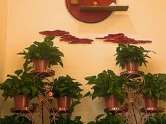 景观位-红菜坊·烤鸭·川鲁菜(杨镇店)