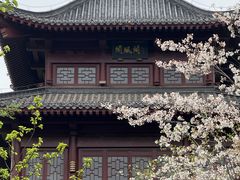 -堤角公园
