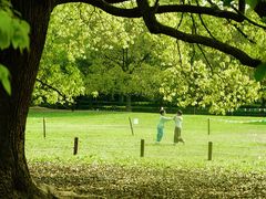 -上海共青森林公园