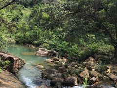 -广州白江湖森林公园