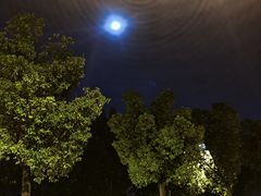 -狼山风景名胜区