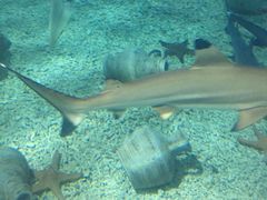 -福州罗源湾海洋世界旅游区