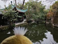 -桂湖森林公园