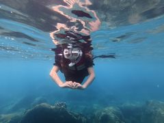 -亚龙湾海底世界