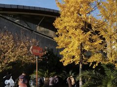 -同济大学四平路校区游泳馆