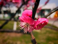 -玄武湖景区-情侣园游乐场