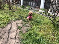 -骐奇宠物诊疗中心(南亭公路店)