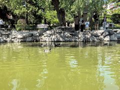 -团结湖公园