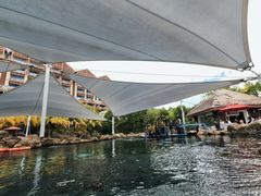 -新加坡水上探险乐园