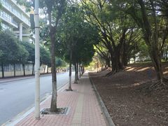 -广东工业大学(大学城校区)