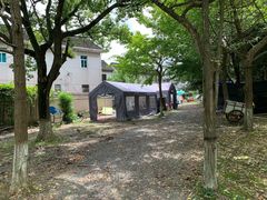-上海美帆帆船露营基地