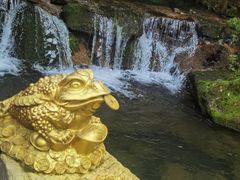 -心乐生活新鲜屋(星海广场店)