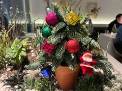 -春树下·树屋花房西餐厅(罍街AS1980店)