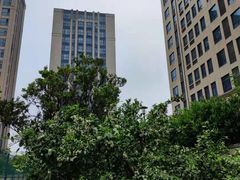 -小赛虎少儿足球培训(南翔校区)