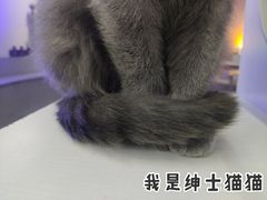 -极木²邸 人与宠物·互动社区