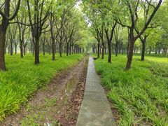 -嘉北郊野公园