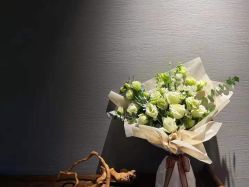 -美肤盾祛痘·问题肌头疗管理中心