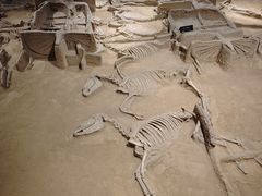 -洛阳周王城天子驾六博物馆